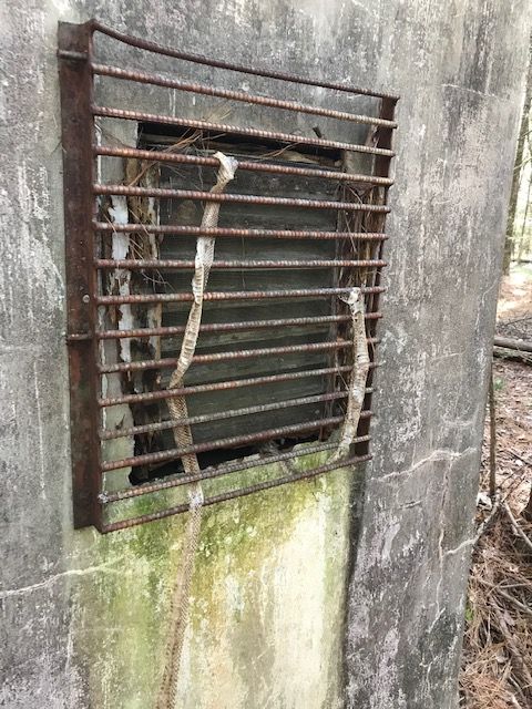 Hensley & Hensley 2023